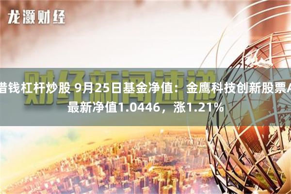 借钱杠杆炒股 9月25日基金净值：金鹰科技创新股票A最新净值1.0446，涨1.21%