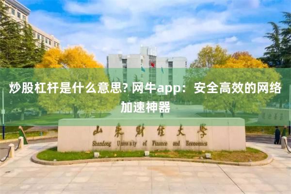 炒股杠杆是什么意思? 网牛app：安全高效的网络加速神器