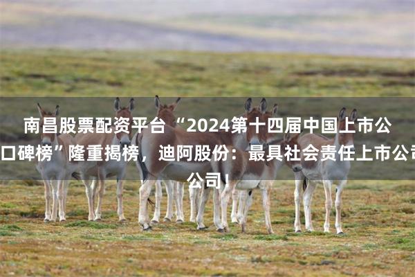 南昌股票配资平台 “2024第十四届中国上市公司口碑榜”隆重揭榜，迪阿股份：最具社会责任上市公司！