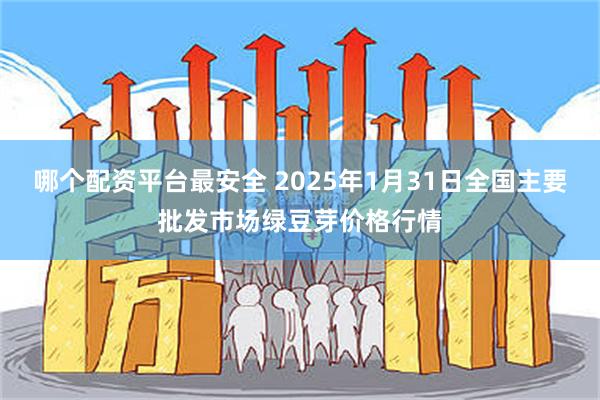 哪个配资平台最安全 2025年1月31日全国主要批发市场绿豆芽价格行情