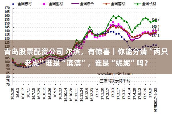 青岛股票配资公司 尔滨，有惊喜丨你能分清“两只老虎”谁是“滨滨”，谁是“妮妮”吗？