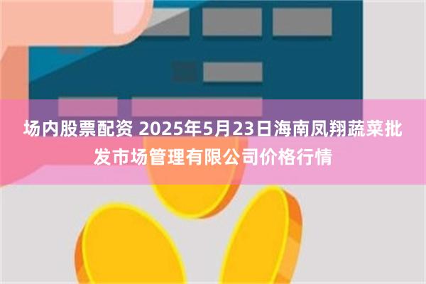 场内股票配资 2025年5月23日海南凤翔蔬菜批发市场管理有限公司价格行情
